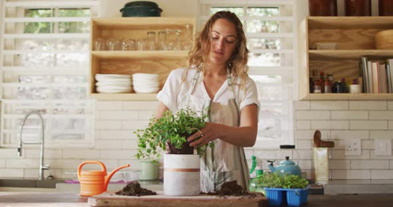 حرب علمية لم تحسم نتيجتها بعد.. هل تستطيع النباتات أن “تستمع” إلينا وتتواصل فيما بينها؟ صورة رقم 2