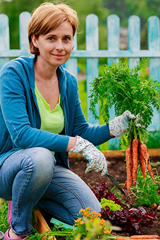 حرب علمية لم تحسم نتيجتها بعد.. هل تستطيع النباتات أن “تستمع” إلينا وتتواصل فيما بينها؟ صورة رقم 7