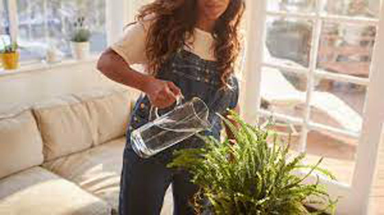 حرب علمية لم تحسم نتيجتها بعد.. هل تستطيع النباتات أن “تستمع” إلينا وتتواصل فيما بينها؟ صورة رقم 9