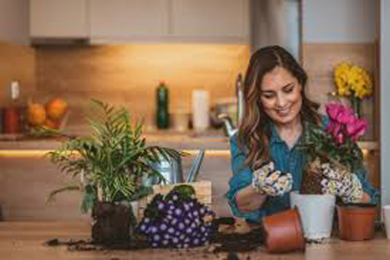 حرب علمية لم تحسم نتيجتها بعد.. هل تستطيع النباتات أن “تستمع” إلينا وتتواصل فيما بينها؟ صورة رقم 11