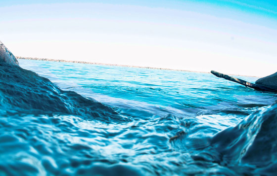 لا نجده بكثرة.. لماذا اللون الأزرق نادر في الطبيعة؟ صورة رقم 13