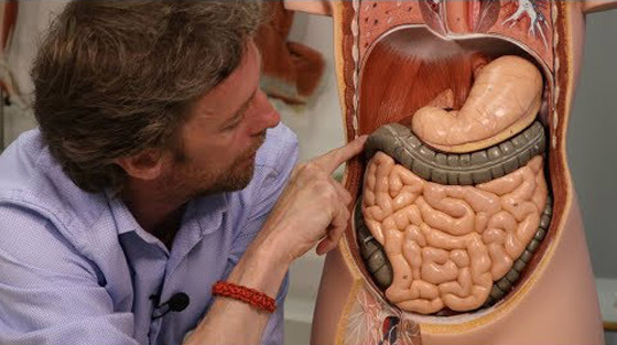 التلفاز يضر بالعيون.. 5 أخطاء وخرافات شائعة منتشرة عن جسم الإنسان صورة رقم 3