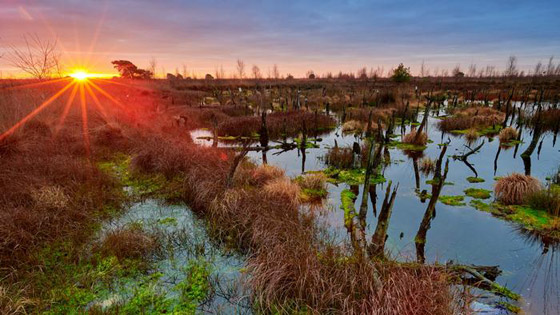 مع قرب فصل الخريف.. تعرفوا إلى 10 من أشهر مناطق التنزه في ألمانيا صورة رقم 2