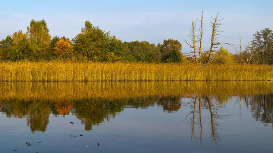 مع قرب فصل الخريف.. تعرفوا إلى 10 من أشهر مناطق التنزه في ألمانيا صورة رقم 3