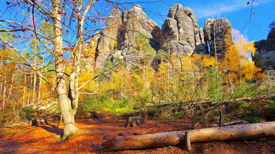 مع قرب فصل الخريف.. تعرفوا إلى 10 من أشهر مناطق التنزه في ألمانيا صورة رقم 4