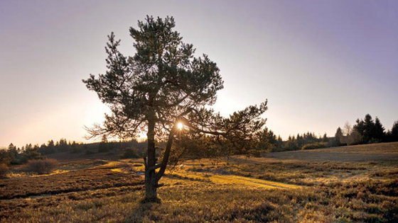 مع قرب فصل الخريف.. تعرفوا إلى 10 من أشهر مناطق التنزه في ألمانيا صورة رقم 6