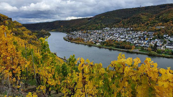 مع قرب فصل الخريف.. تعرفوا إلى 10 من أشهر مناطق التنزه في ألمانيا صورة رقم 7