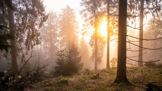 مع قرب فصل الخريف.. تعرفوا إلى 10 من أشهر مناطق التنزه في ألمانيا صورة رقم 8