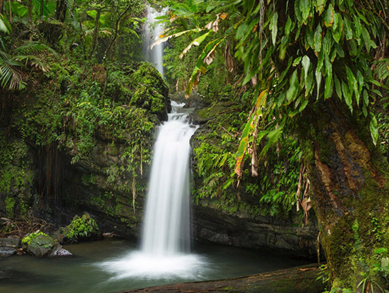 السياحة في جزيرة بورتوريكو الكاريبية السحرية مثالية للعوائل صورة رقم 3