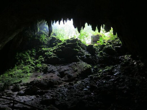 السياحة في جزيرة بورتوريكو الكاريبية السحرية مثالية للعوائل صورة رقم 5