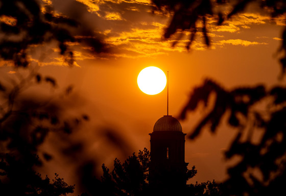 تتكون من الغاز وليست صلبة كالكواكب.. هل تدور الشمس حول نفسها؟ صورة رقم 4