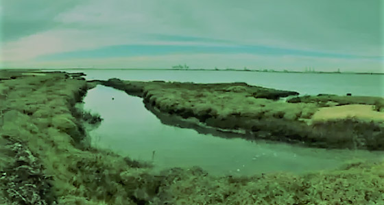 زيارتها محظورة.. قصة جزيرة إنجليزية مرعبة تمتلئ أرضها ببقايا الموتى! صورة رقم 3