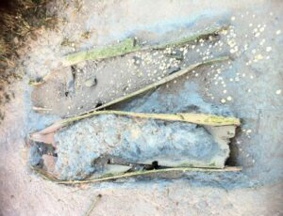 زيارتها محظورة.. قصة جزيرة إنجليزية مرعبة تمتلئ أرضها ببقايا الموتى! صورة رقم 4