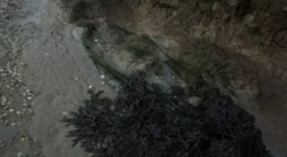 زيارتها محظورة.. قصة جزيرة إنجليزية مرعبة تمتلئ أرضها ببقايا الموتى! صورة رقم 6