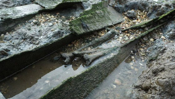 زيارتها محظورة.. قصة جزيرة إنجليزية مرعبة تمتلئ أرضها ببقايا الموتى! صورة رقم 11