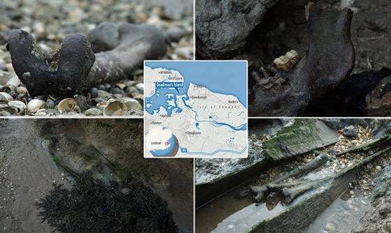 زيارتها محظورة.. قصة جزيرة إنجليزية مرعبة تمتلئ أرضها ببقايا الموتى! صورة رقم 1