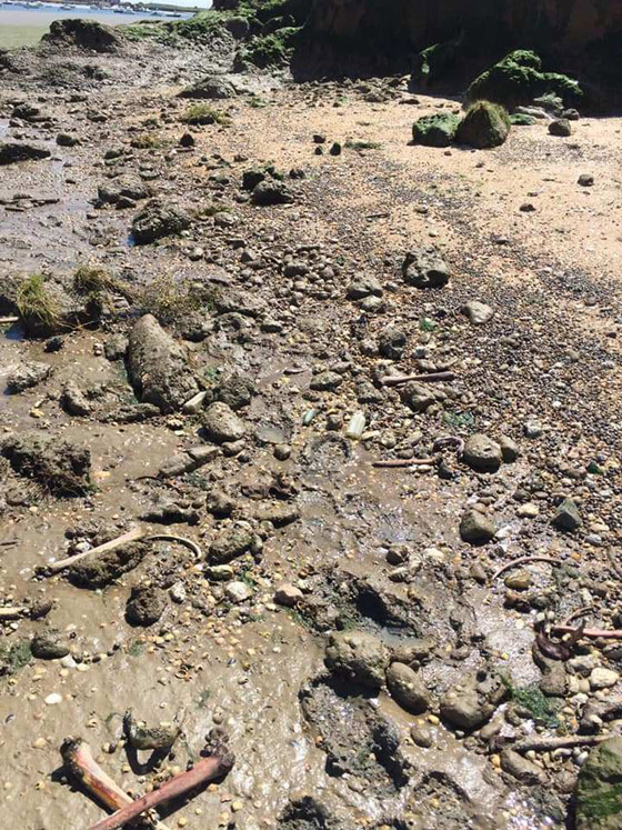 زيارتها محظورة.. قصة جزيرة إنجليزية مرعبة تمتلئ أرضها ببقايا الموتى! صورة رقم 12