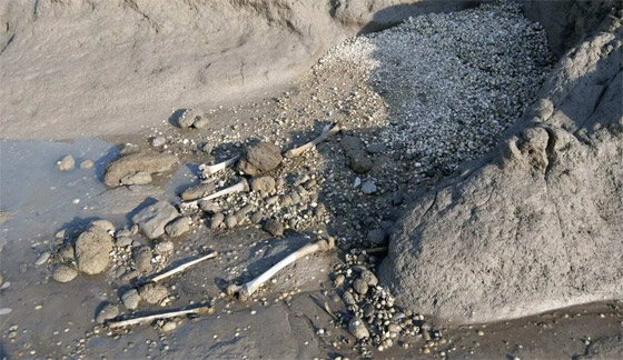 زيارتها محظورة.. قصة جزيرة إنجليزية مرعبة تمتلئ أرضها ببقايا الموتى! صورة رقم 13