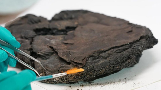 كعكة عمرها 79 عاماً تحيّر العلماء صورة رقم 2