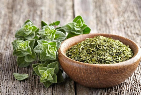 اليوم العالمي للزعتر: يعالج  امراض السرطان، الجهاز التنفسي والهضمي ويقوي الذاكرة والذكورة ! صورة رقم 1