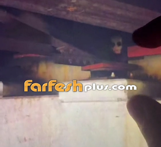 فيديو مرعب لمخلوق مخيف يختلس النظر من تحت جسر! ما هو؟ صورة رقم 3