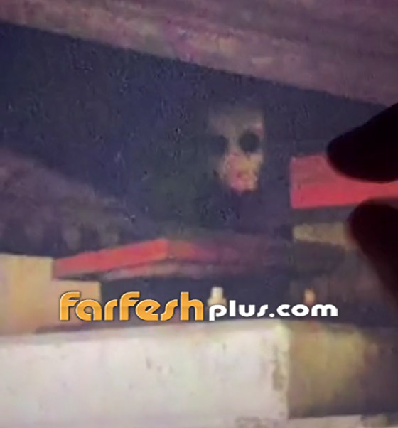 فيديو مرعب لمخلوق مخيف يختلس النظر من تحت جسر! ما هو؟ صورة رقم 4