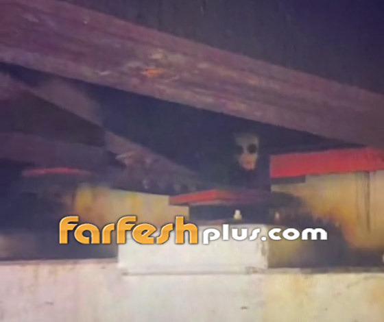 فيديو مرعب لمخلوق مخيف يختلس النظر من تحت جسر! ما هو؟ صورة رقم 6