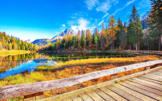 إليكم أبرز النصائح عند السفر في فصل الخريف صورة رقم 3