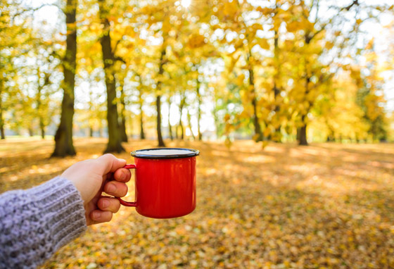 إليكم أبرز النصائح عند السفر في فصل الخريف صورة رقم 4
