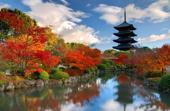 إليكم أبرز النصائح عند السفر في فصل الخريف صورة رقم 7