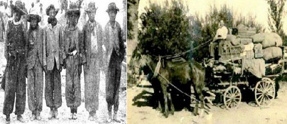 قصة 100 سوري ولبناني ضحايا أكلة لحوم البشر بأقصى الأرض! صورة رقم 2 قصة 100 سوري ولبناني ضحايا أكلة لحوم البشر بأقصى الأرض! صورة رقم 2