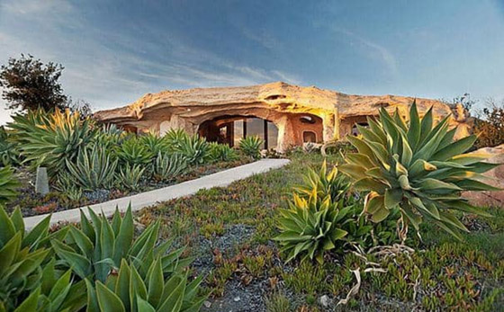 أغرب منازل حول العالم مستوحاة من الطبيعة صورة رقم 4