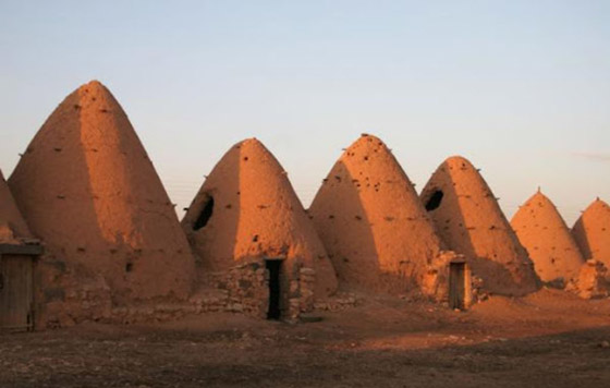 أغرب منازل حول العالم مستوحاة من الطبيعة صورة رقم 11