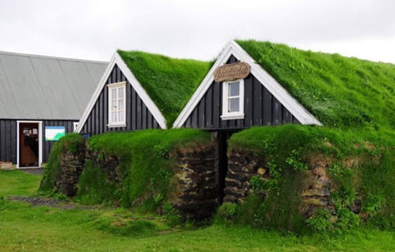 أغرب منازل حول العالم مستوحاة من الطبيعة صورة رقم 8