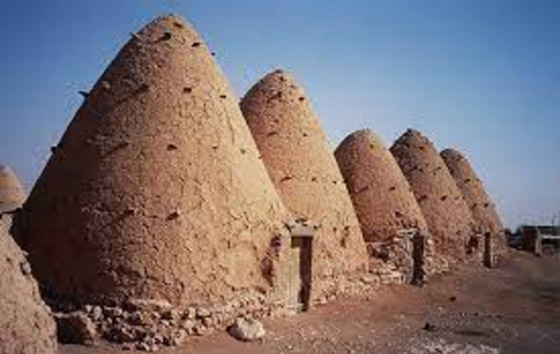 أغرب منازل حول العالم مستوحاة من الطبيعة صورة رقم 7