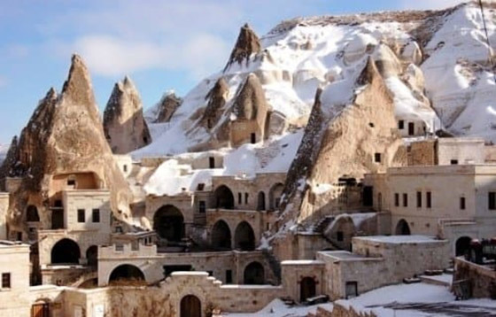 أغرب منازل حول العالم مستوحاة من الطبيعة صورة رقم 3