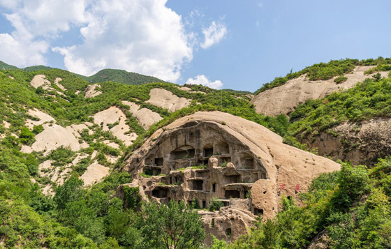 أغرب منازل حول العالم مستوحاة من الطبيعة صورة رقم 5