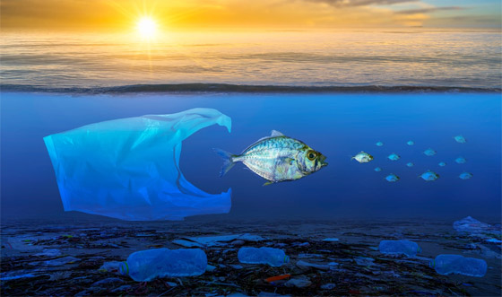 إليكم 5 حلول مبتكرة غير تقليدية للتخلص من أزمة النفايات البلاستيكية صورة رقم 14