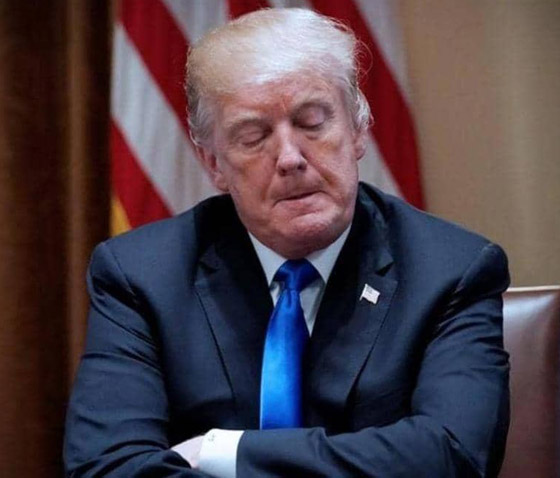 الرئيس السابق ترامب يلجأ للقضاء لإجبار تويتر على إعادة حسابه صورة رقم 10