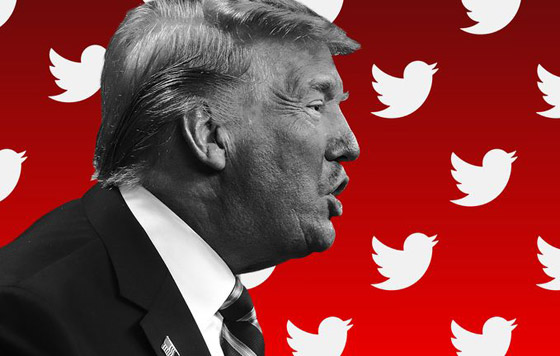 الرئيس السابق ترامب يلجأ للقضاء لإجبار تويتر على إعادة حسابه صورة رقم 6