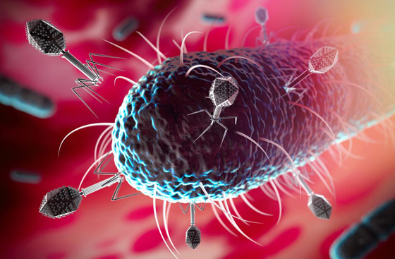 قادرة على الحديث.. إليكم معلومات مذهلة عن البكتيريا لم تسمعوا بها من قبل صورة رقم 14