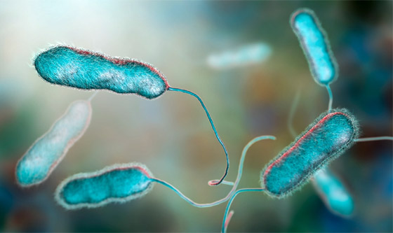 قادرة على الحديث.. إليكم معلومات مذهلة عن البكتيريا لم تسمعوا بها من قبل صورة رقم 1