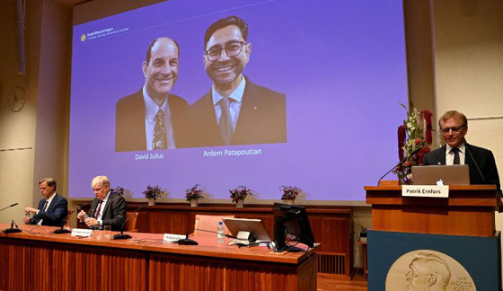 فوز عالمين أحدهما من أصل لبناني بجائزة نوبل للطب.. عن أي اكتشاف؟ صورة رقم 11