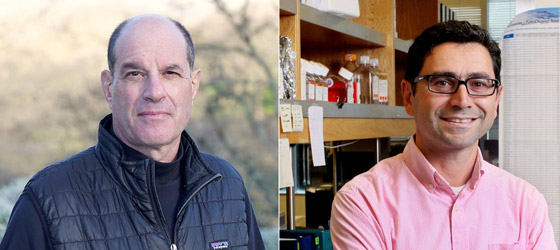 فوز عالمين أحدهما من أصل لبناني بجائزة نوبل للطب.. عن أي اكتشاف؟ صورة رقم 12