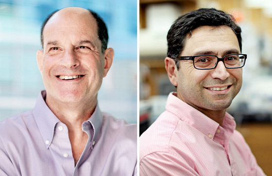 فوز عالمين أحدهما من أصل لبناني بجائزة نوبل للطب.. عن أي اكتشاف؟ صورة رقم 13