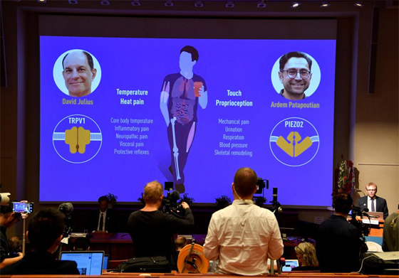 فوز عالمين أحدهما من أصل لبناني بجائزة نوبل للطب.. عن أي اكتشاف؟ صورة رقم 20