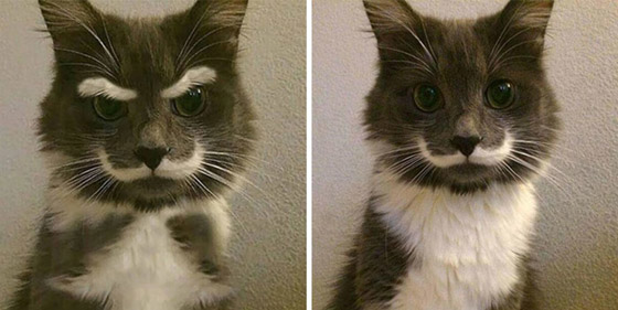 صور منتشرة حول العالم ولكنها مفبركة وغير حقيقية: بعضها سيصيبك بالصدمة صورة رقم 7