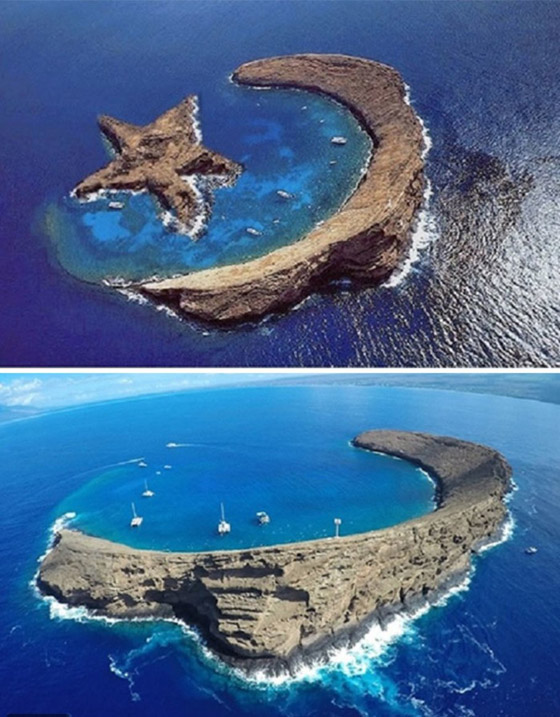 صور منتشرة حول العالم ولكنها مفبركة وغير حقيقية: بعضها سيصيبك بالصدمة صورة رقم 12