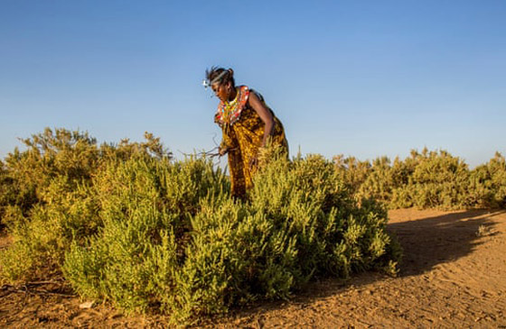 أسستها امرأة تعرضت للضرب.. قرية أوموجا الإفريقية مُحرمة على الرجال صورة رقم 9