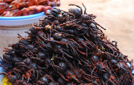 بعضها مقزز.. إليكم أغرب 15 نوعا من الأطعمة حول العالم صورة رقم 3